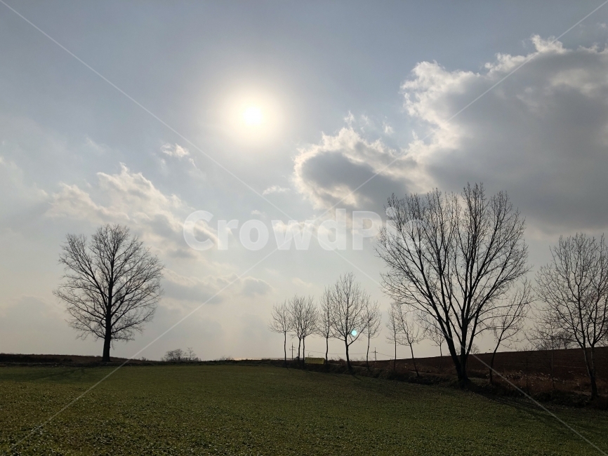 자연,들판,초원,나무,겨울,자연,풍경,nature,landscape,plant,식물,grass,잔디