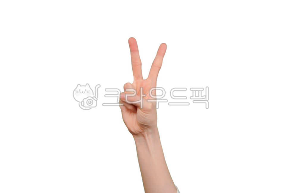 손,손가락,손짓,손모양,2번,브이,둘,표현,의미,연출,컨셉,손동작,손톱,제스쳐,표시,몸,인간,신체일부,손목,사람,핸드,힘,여성,여자손,신체일부,몸,body,손,제스처,표시,손짓,표현,gesture,hand,sign,expression