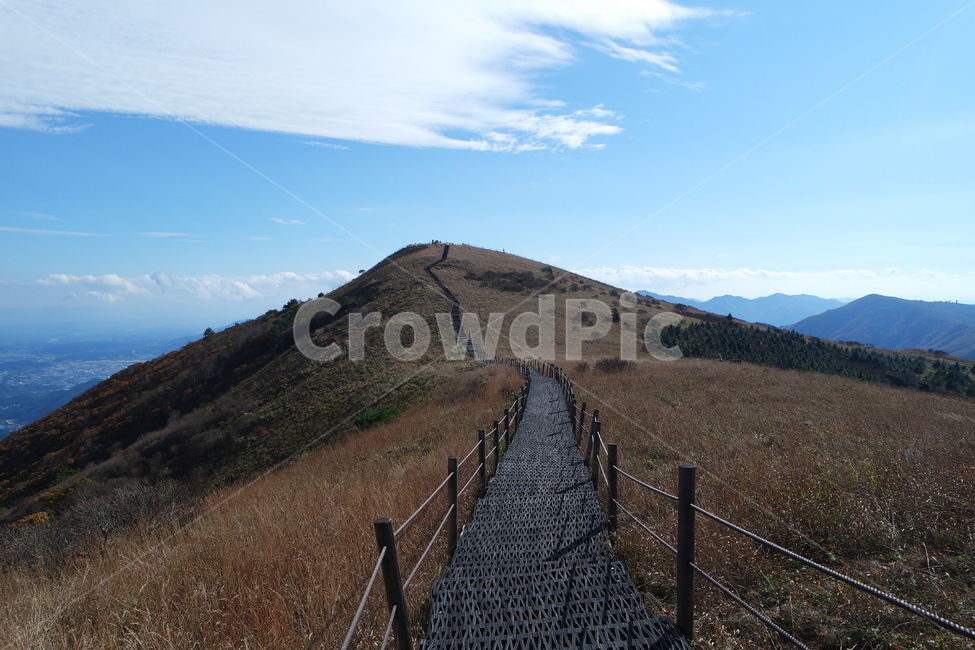 소백산,가을산,산,소백산국립공원,등산,가을,계절,fall,autumn,season,자연,풍경,nature,landscape,한국자연풍경,한국자연경관,korea nature landscape,outdoors,옥외,grassland,목초지,field,들