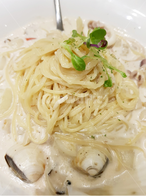 까르보나라,해물크림파스타,파스타,스파게티,크림스파게티,해물스파게티,음식,food,noodle,pasta,면요리,플래이팅,플레이팅,데코레이션