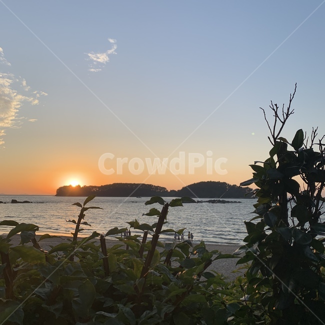 바다,노을,나무,여름,분위기,해변,바다,beach,sea