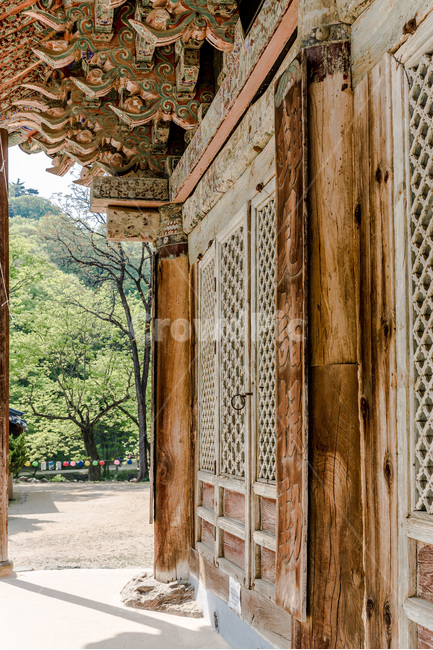 단청,문양,무늬,사찰,건축,전통문화,한국전통,한국문화,korean traditional,korean culture,종교,신앙,religion,belief,faith,건축물,건물외관,exterior,building,structure,architecture,construction