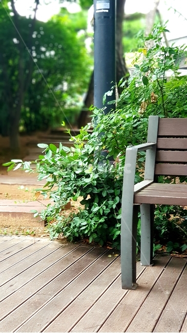 산책,밴치,의자,나뭇잎,산챈로,사색,오후