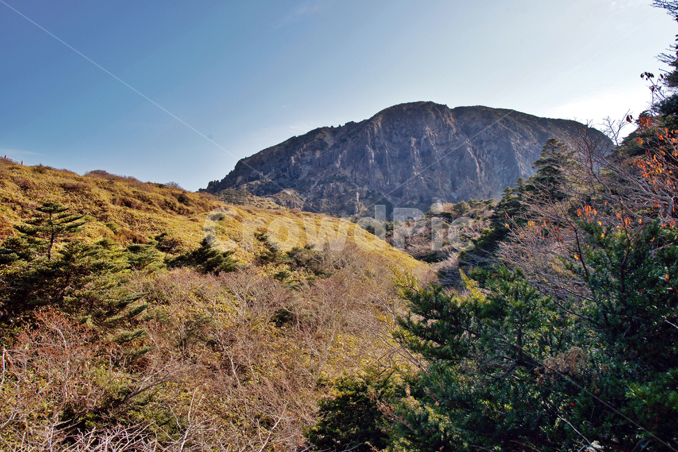 남벽,조릿대,한라산,한라산국립공원,제주도,암벽,돈내코코스,제주도,jeju,jeju island,nature,자연,outdoors,옥외