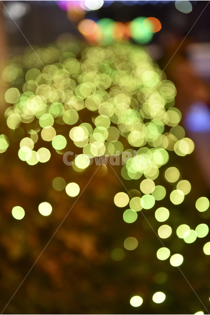 빛사진,보케,트리장식,감성사진,빛망울,야경,밤,풍경,nightscape,night,landscape,감성,sensible,feeling,light,빛,flare,플레어,lighting,조명