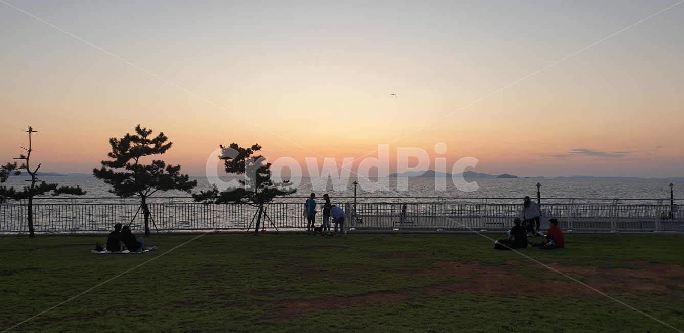 일몰,바다,그림자,잔디,옥외,자연,풍경,nature,landscape,outdoors