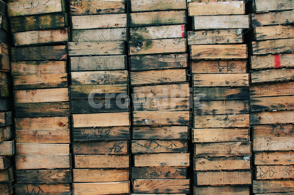 나무,질감,wood,case,원목