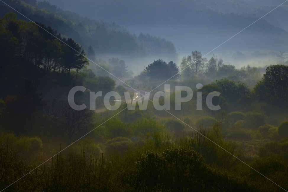 시크릿가든,비밀의정원,인제,봄,초록,안개,일출,새벽,자연,풍경,nature,landscape,weather,날씨,outdoors,옥외,fog,mist