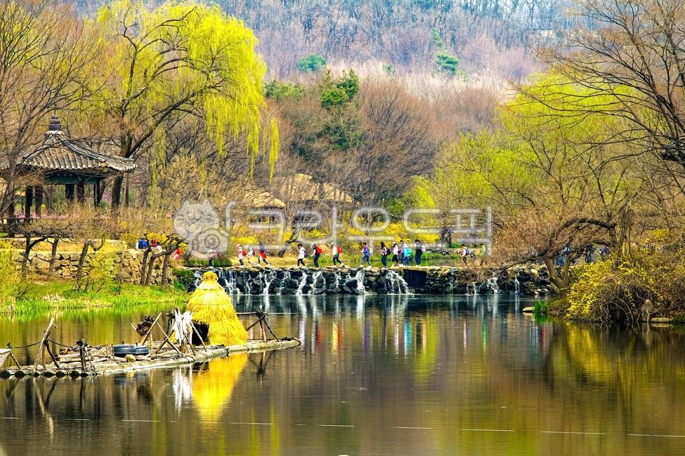spring,weeping willow,stepping stones,children,nature,pewter,water