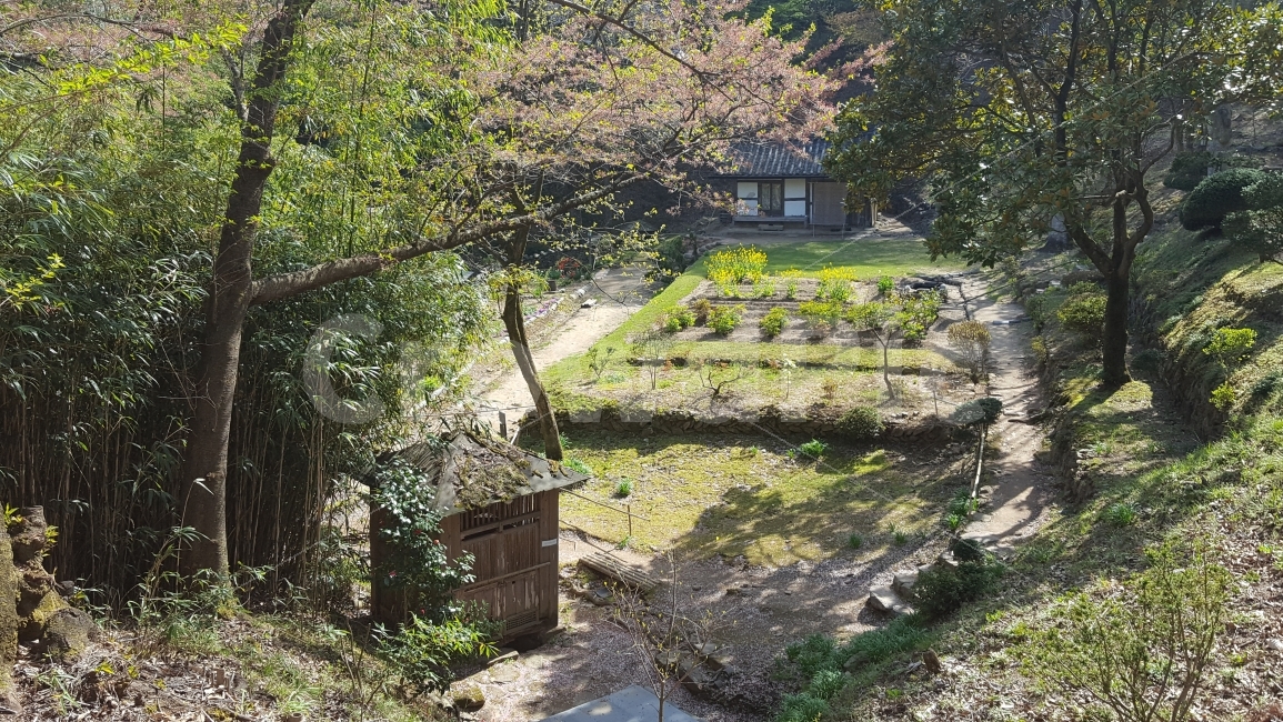 여행,travel,여행사진,국내여행,혼자여행,사진,순천,순천여행,배경사진,배경,이쁜사진,색감,색감좋은사진,송광사,절,불일암,법정스님,무소유,풍경,풍경사진,고요,적막,봄,소박,한국전통,한국문화,korean traditional,korean culture,자연,풍경,nature,landscape,outdoors,옥외