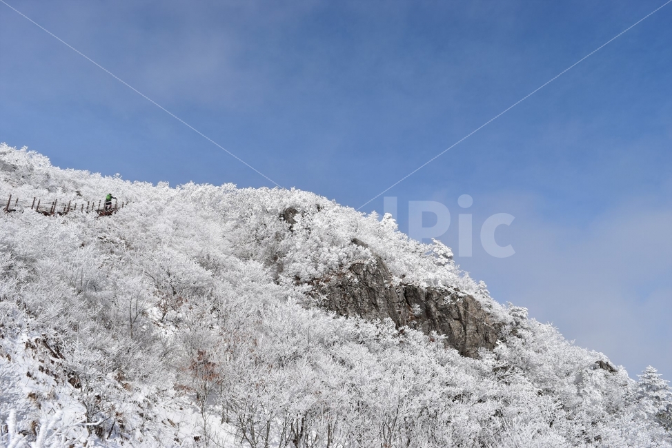 소백산,눈꽃풍경,상고대,겨울풍경,국립공원,겨울동화,눈풍경,파란하늘,100대명산,겨울명산,설경,서리꽃,영동,snow,landscape,자연,풍경,nature,landscape,겨울,계절,winter,season,outdoors,옥외