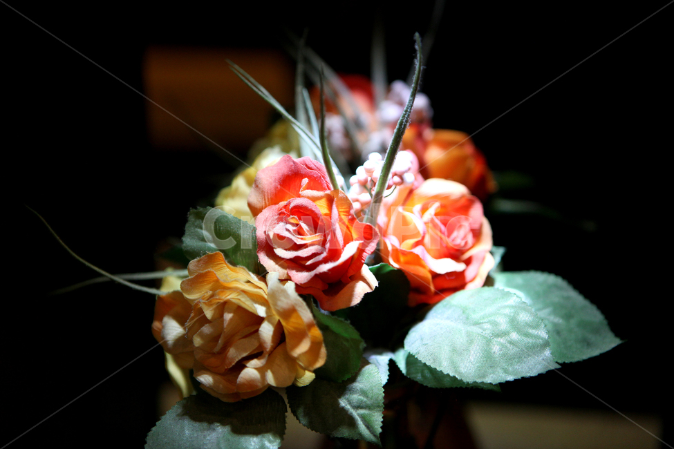 조화,꽃,장식물,flower,plant,식물,꽃부케,꽃,flower