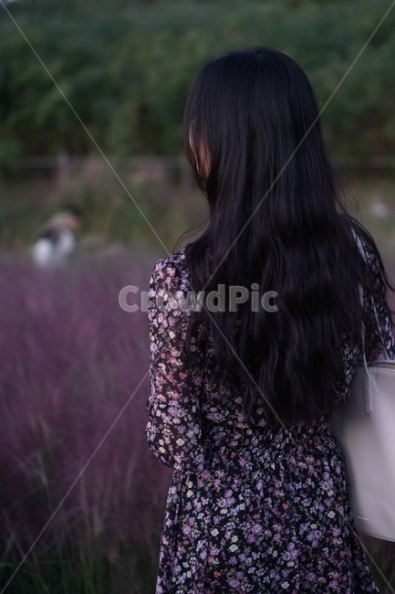 뒷모습,여자,person,여자뒷모습,핑크,pink,감성,백그라운드,background,human,인간,사람,긴머리,hair,핑크뮬리,가을,사람,인물,인간,human,person,여성,여자,woman,female,lady