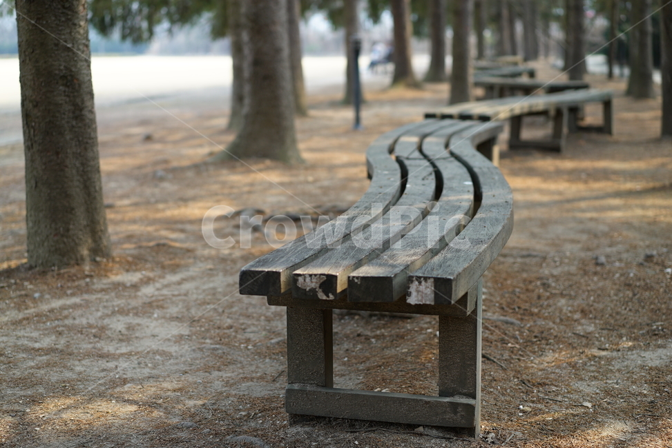 furniture,가구,bench,벤치,곡선,나무,자연,공원