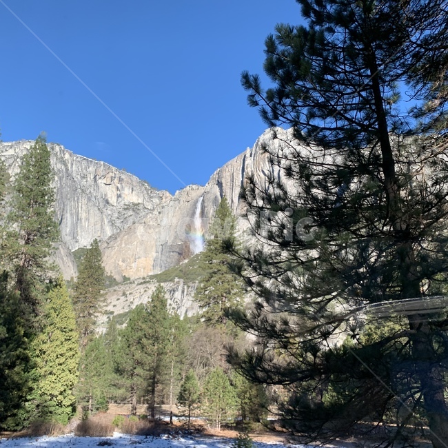 요세미티,캘리포니아,yosemite,요세미티국립공원,폭포,자연,힐링,휴식,등산,하이킹,나무,숲,투어