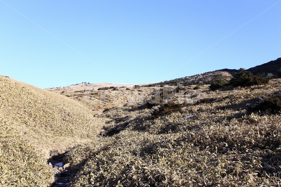 한라산,제주도,산,상고대,눈,눈꽃,겨울,snow,winter,나무,tree,자연,풍경,nature,landscape,outdoors,옥외,ground,바닥