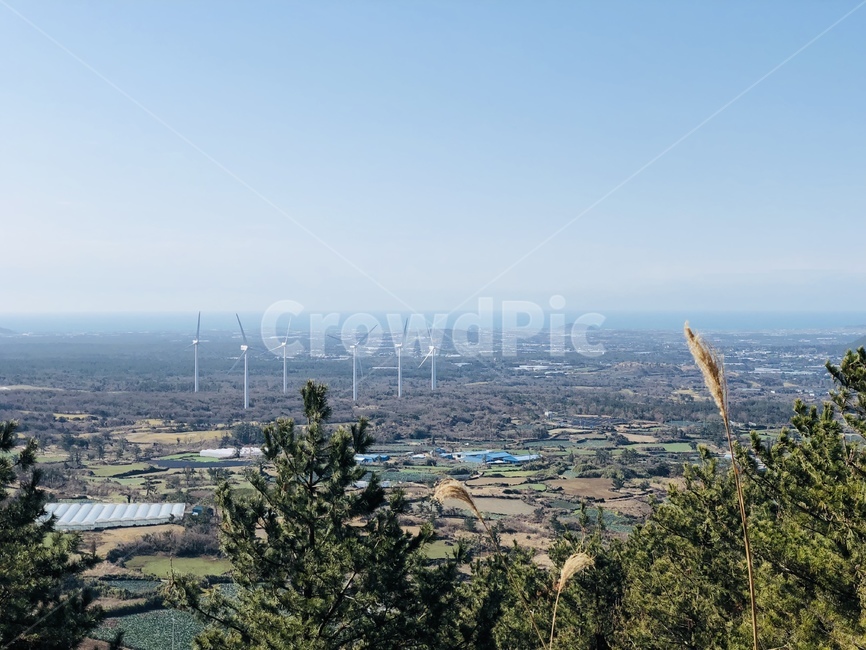 하늘,바다,갈대,수평선,풍차,풍력발전,산,구름,정상,나무,도시,제주도,sky,sea,reed,windmill,cloud,city,jejudo,top,tree,mountain,시골,마을,풍경,landscape,country,rural,town