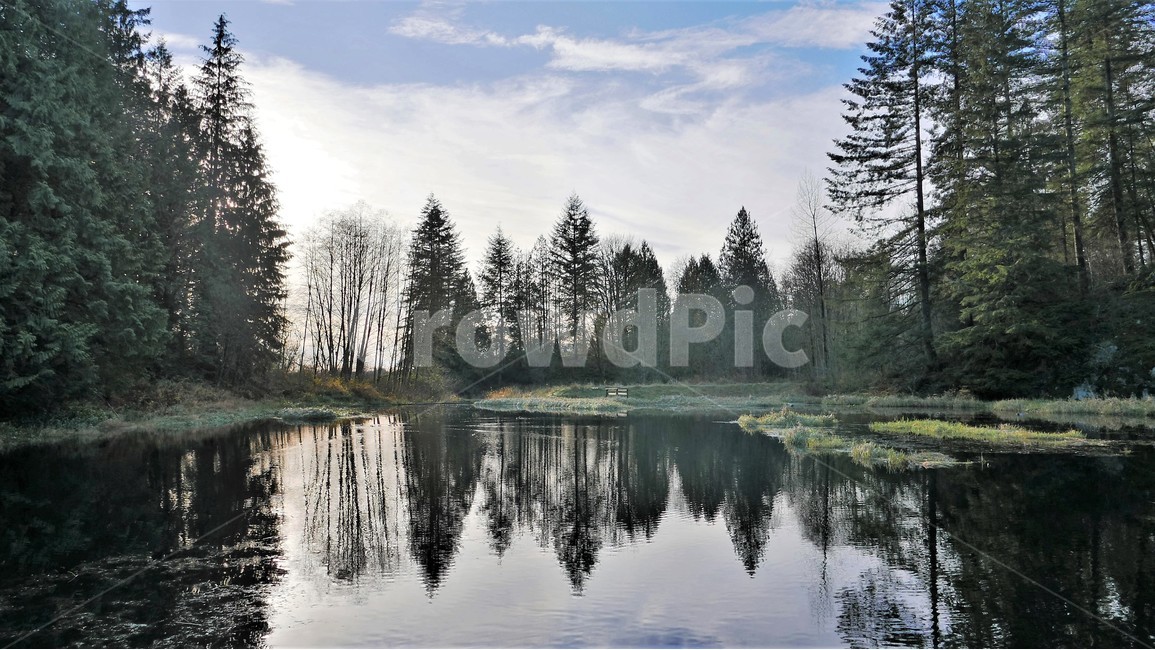 가을정경,풍경,호수,나무,숲,자연,풍경,nature,landscape,해외,외국,세계,foreign,oversea,world,세계자연풍경,해외자연풍경,외국자연풍경,world nature landscape,tree,plant,식물,fir,전나무,abies,아비
