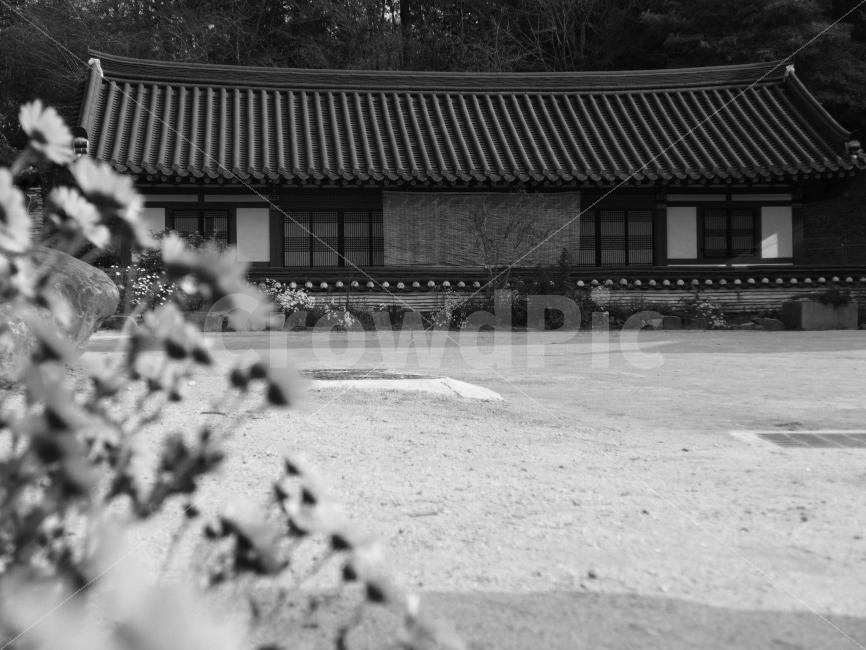 부여,산사,흑백사진,사진,이미지,한국전통,한국문화,korean traditional,korean culture,흑백,모노톤,monochrome,black and white
