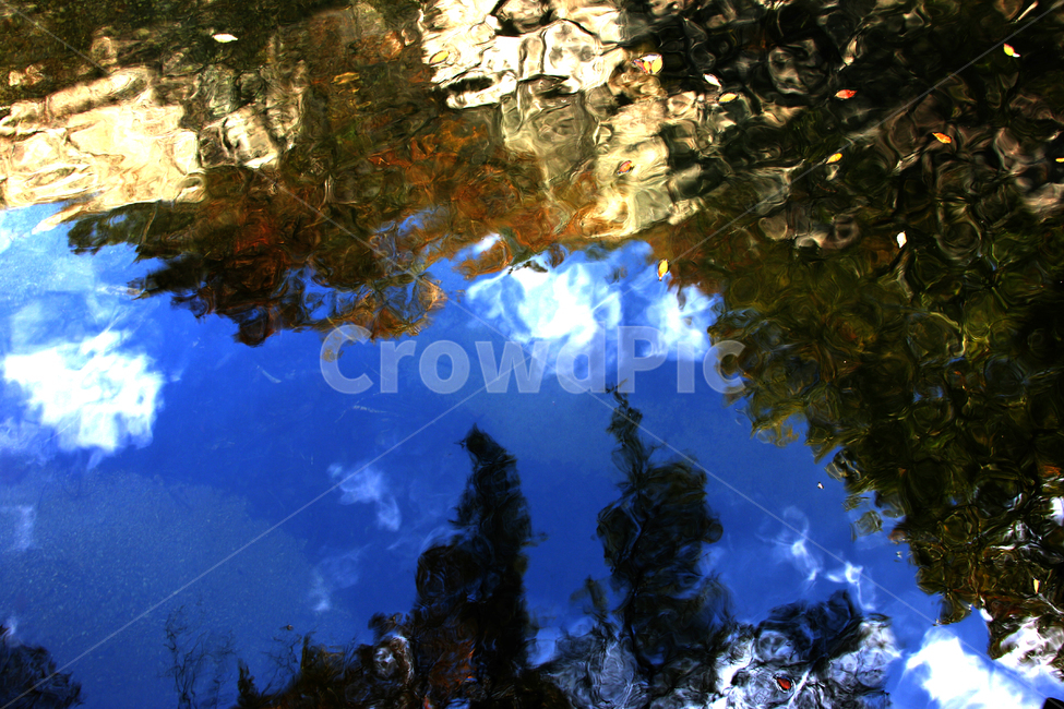그림자,물속,호수,하늘,감성,색감,반사,nature,자연,옥외,구름,물,water,풍경,야외,오후,outdoors