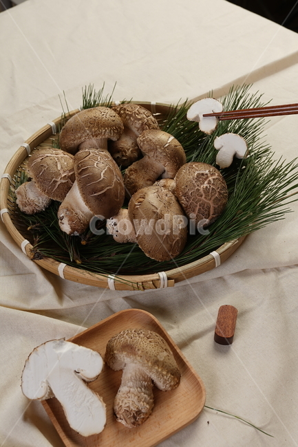 plant,식물,버섯,요리,재료,버섯,mushroom,음식,식재료,요리,food,cook,meal,dishes,food reserves