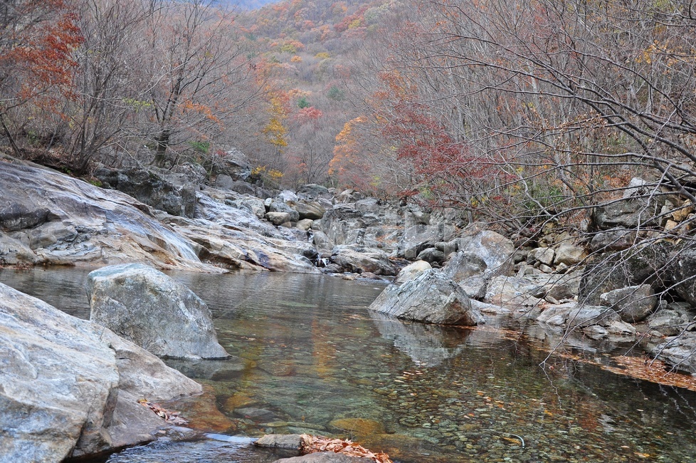 구례,피아골,피아골계곡,단풍,폭포,leaf,잎,plant,식물,tree,나무,maple,water,물,scenery,풍경,outdoors,옥외,nature,자연,landscape,경치,가을,계절,fall,autumn,season,자연,풍경,nature,landscape