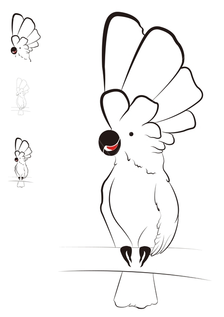 엄브렐라코카투,코카투,앵무새,대형앵무새,조류,새,앵무새일러스트,새일러스트,그래픽,일러스트레이션,graphic,illustration