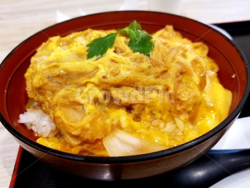 음식,일식,오야코동,일본요리,일본닭고기덮밥,음식,식재료,요리,food,cook,meal,dishes,food reserves