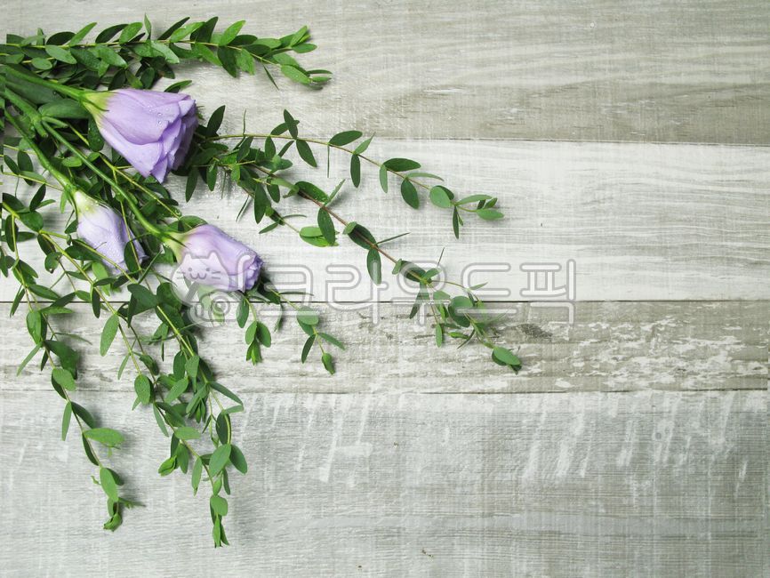 꽃장식,flower,꽃배경,우드,초록잎