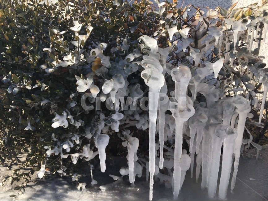 고드름,한파,겨울,얼음,추위,겨울,계절,winter,season