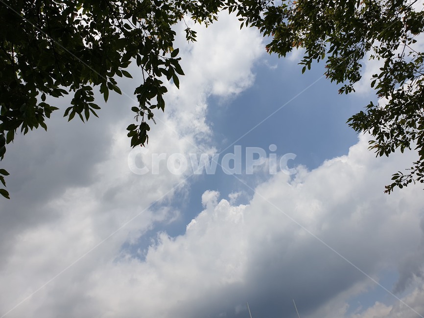 nature,자연,outdoors,weather,날씨