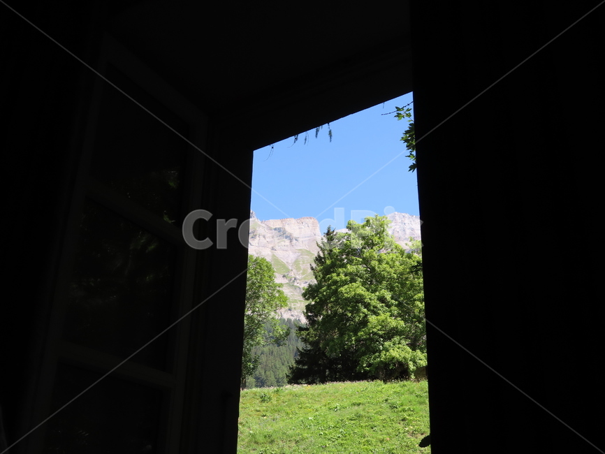 창문,뷰,산,나무,풀,green,tree,window,공원