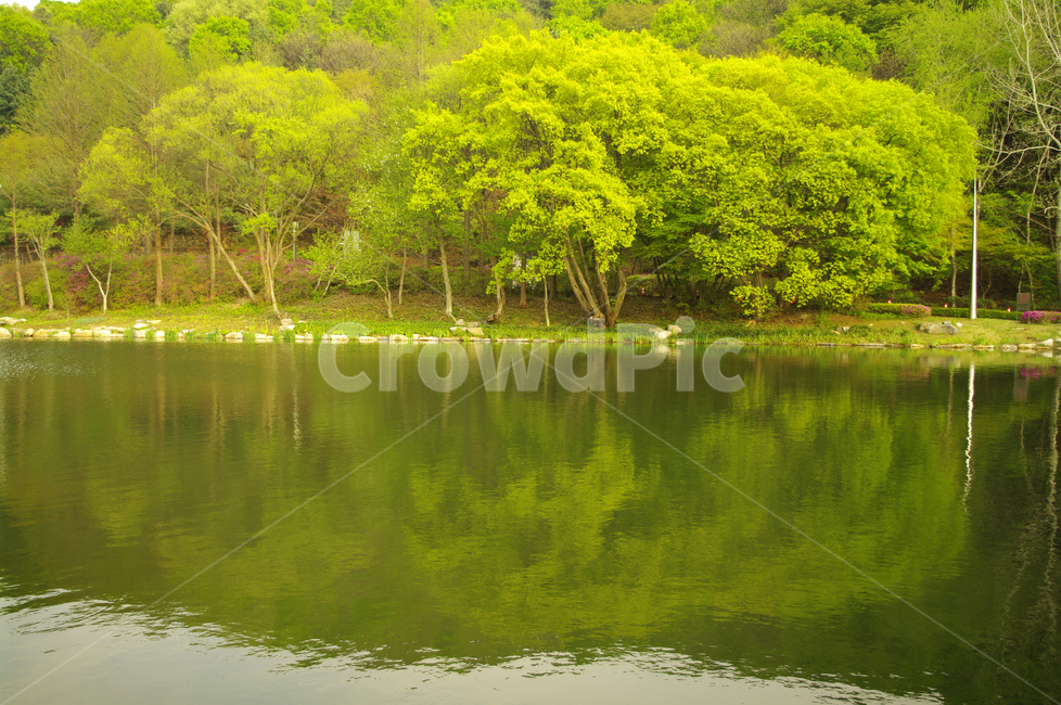 호수,나무,반영,풍경,식물,자연,풍경,nature,landscape,water,물,outdoors,옥외