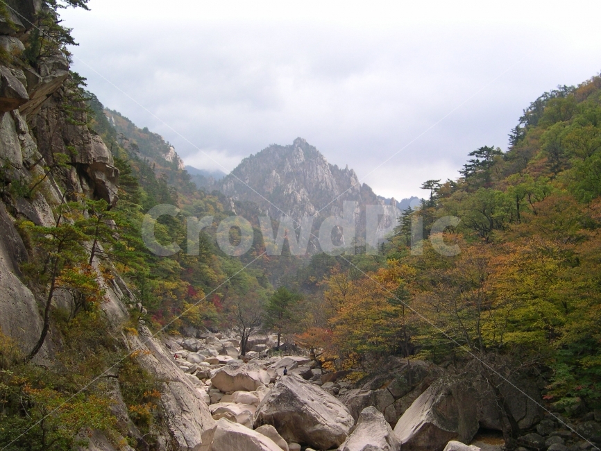 설악산,가을,단풍,산,자연,국립공원,풍경,자연,풍경,nature,landscape,가을,계절,fall,autumn,season,outdoors,옥외,mountain