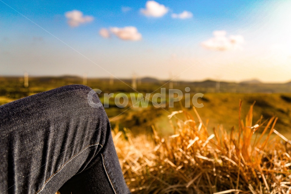 제주도,제주,오름,풍력발전기,억새,가을,가을풍경,초원,들판,노을,석양,감성,여유,휴식,힐링,여행,자연,풍경,하늘,구름,따뜻한색감,골든아워,야외,앉아있는,청바지,사람부분,라이프스타일,가을,계절,fall,autumn,season,사람,인물,인간,human,person,신체일부,몸,body,sleeve,소매