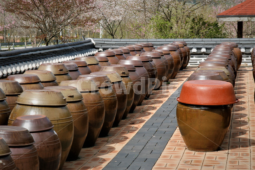 항아리,장독,전통,옹기,풍경,한국전통,한국문화,korean traditional,korean culture