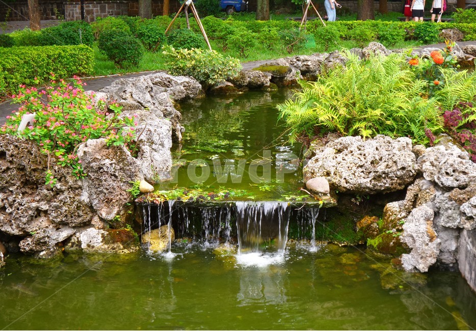 물,연못,자연,환경,시냇물,개울,풍경,여름,계절,summer,season,자연,풍경,nature,landscape,water,outdoors,옥외