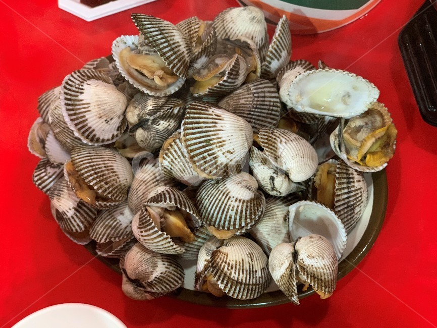 꼬막,제철음식,포장마차,꼬막찜,술안주,간식,음식,식재료,요리,food,cook,meal,dishes,food reserves,수산물,해산물,fishery products,seafood