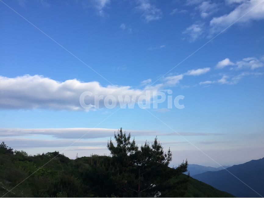 구름,하늘,자연,cloud,sky,파란하늘,bluesky,맑은하늘,구름사진,나뭇잎,leaf,leaves,산,mountain,nature,자연,풍경,nature,landscape,outdoors,옥외