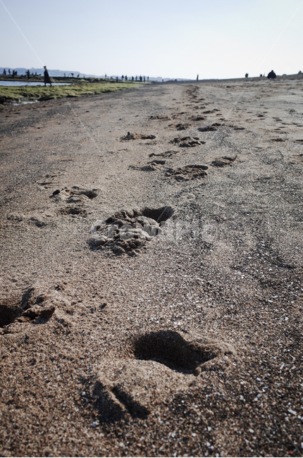 모래,해변,발자국,sand,beach,footprint