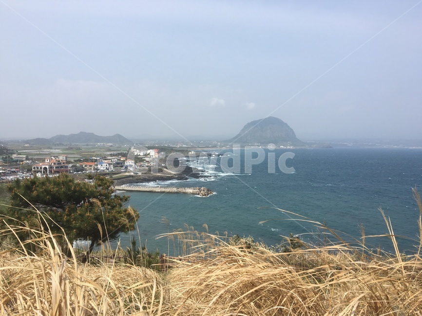 land,outdoors,옥외,nature,자연,sea,바다,water,물,ocean,대양,shoreline,해안선,coast,연안,제주,풍경,배경
