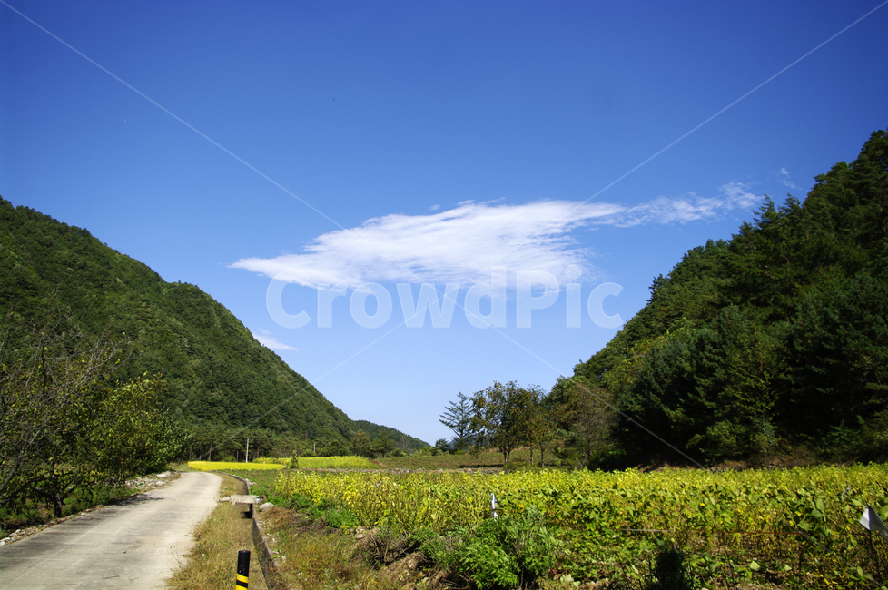 풍경,하늘,구름,산,color,자연,풍경,nature,landscape,road,도로,outdoors,옥외