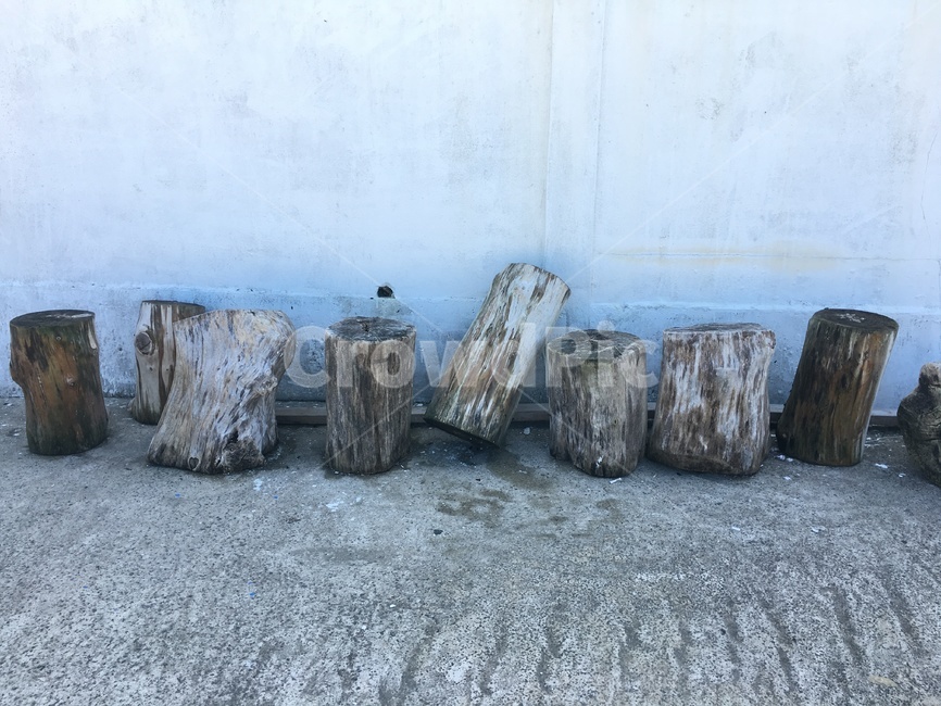 treestump,나무,벽,dry,그루터기,나무,trees,wood