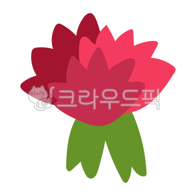 thanks,petal,carnation,Mothers Day,flower