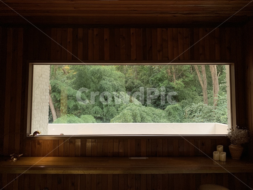 카페,cafe,감성사진,feeling,감성,sensible,힐링,wood,나무,식물,plant,tree,색깔,색상,색감,color,초록,green,유리창,window,창문
