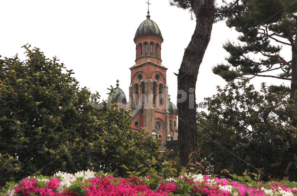 전주,전동성당,한국,성당,봄,봄꽃,전주한옥마을,전주광광지,전주명소,한국관광지,전주전동성당,한국명소,전통,한국랜드마크,건축,건축물,종교,신앙,천주교,spring,church,landmark,랜드마크,landmark,tourist attraction,한국랜드마크,한국관광지,한국명소,korea landmark,korea tourist attraction