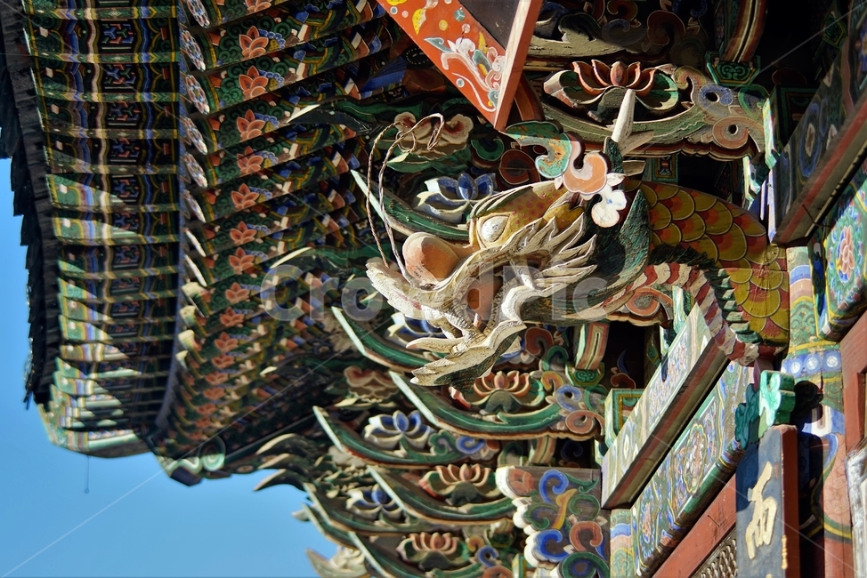 절,사찰,용,전통양식,목각,dragon,wooden,colorful,dancheong,traditional,old,한국전통건축,기와,비구니,도량,종교,불교,기와지붕,전통건축,기와집,지붕,전통,한옥,패턴,배경,전통적인,한국의,construction,한국전통,한국문화,koreantraditional,koreanculture,건축물,건물외관,exterior,building,structure,architecture