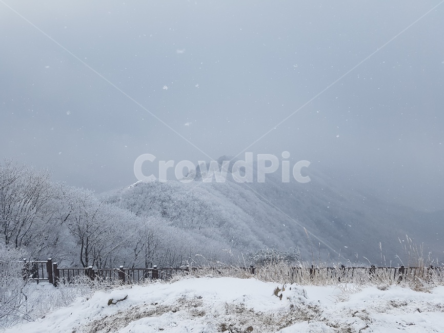 눈,눈꽃,설산,산행,정상,겨울,계절,winter,season,자연,풍경,nature,landscape,storm,폭풍,blizzard,눈보라,outdoors,옥외,snow