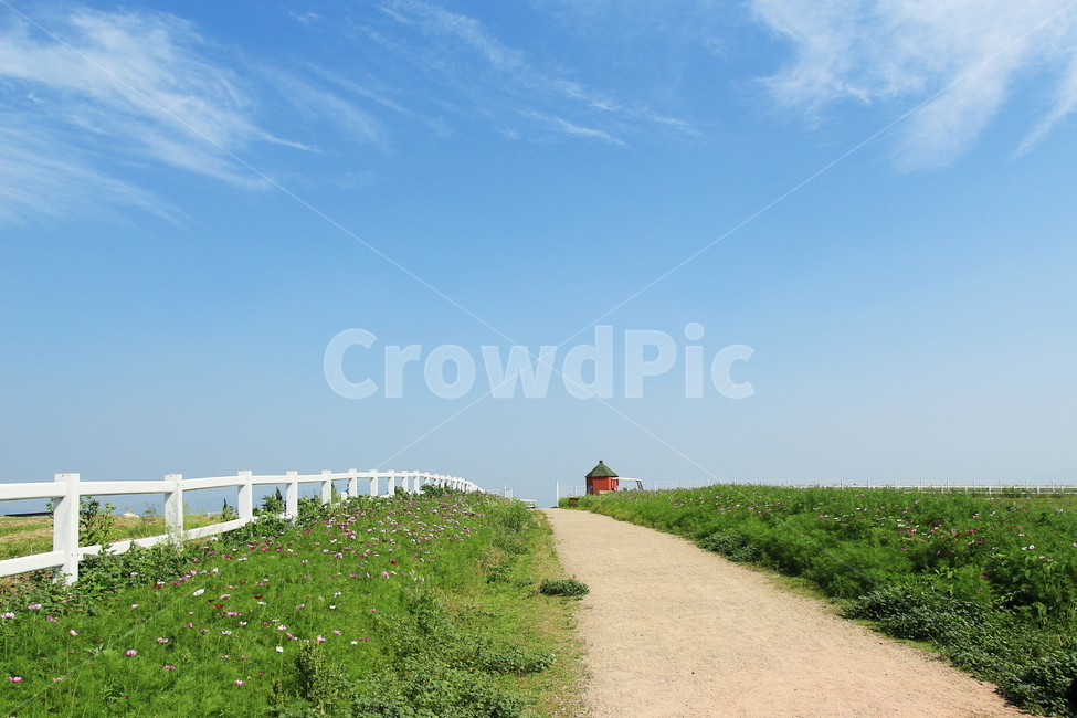 하늘,길,언덕,초원,동산,울타리,자연,풍경,nature,landscape,outdoors,옥외