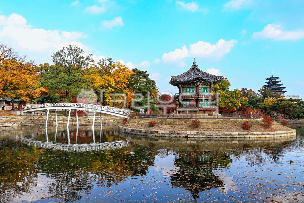 경복궁, 향원정, 가을, 단풍, 단풍잎, 사진,이미지,일러스트,캘리그라피 - 대송작가